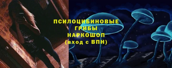 круглые Алзамай