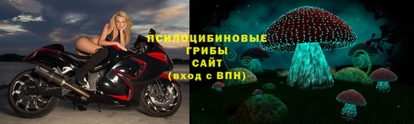 круглые Алзамай