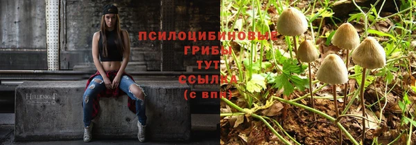 прущие крисы Алексеевка