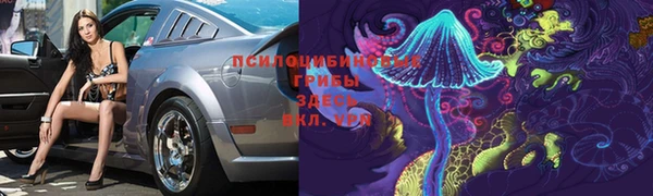 прущие крисы Алексин